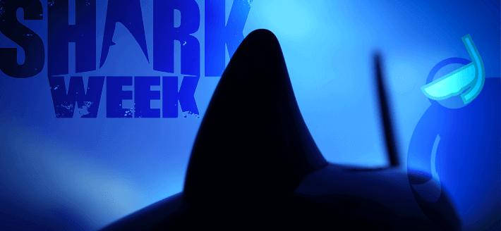 Shark Week 2013 @Fatguymedia