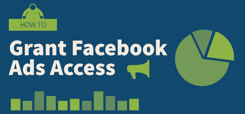 how to grant facebook ads access