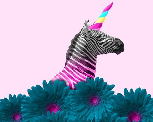 pink black and white zebra w a unicorn horn