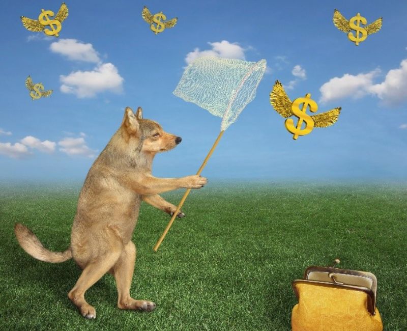 a wolf capturing flying dollar signs with a net