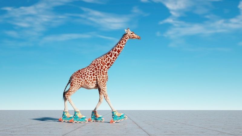 giraffe on roller skates